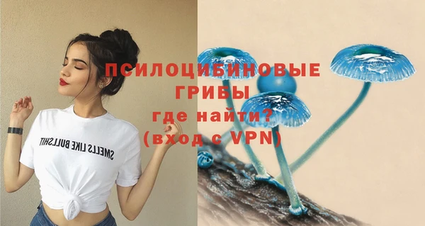 тгк Кинешма