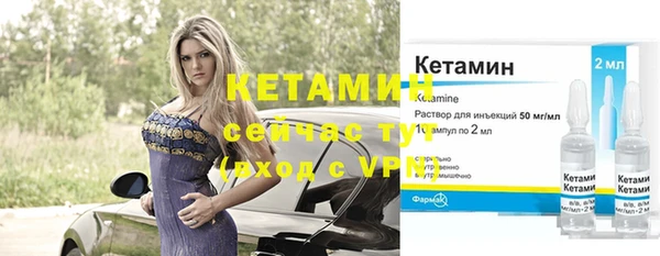 сатива Карпинск