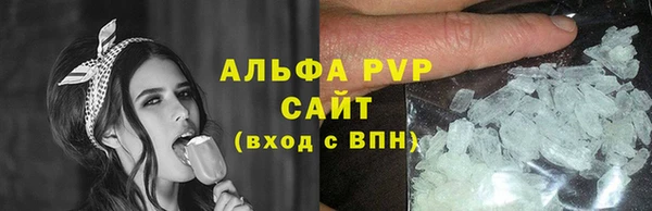 сатива Карпинск