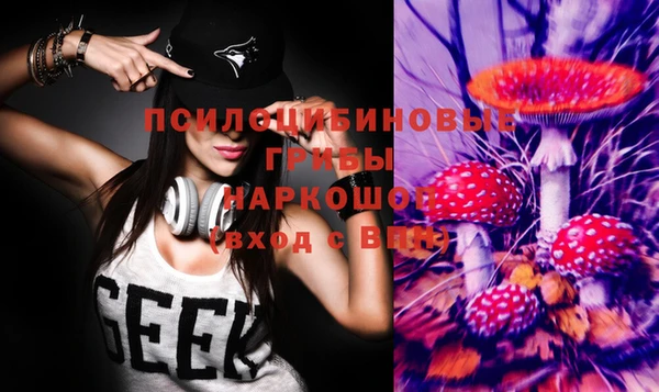 тгк Кинешма
