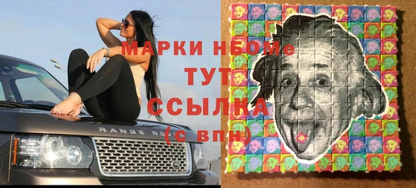 сатива Карпинск