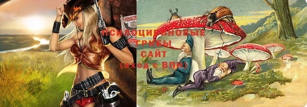 мет Касимов