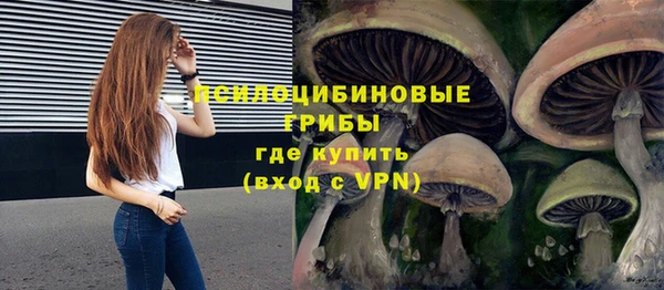 мет Касимов