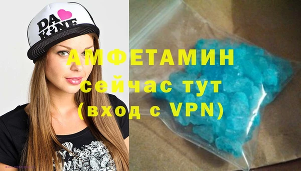сатива Карпинск