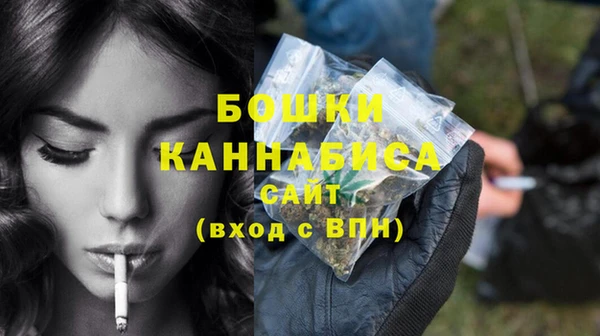 сатива Карпинск