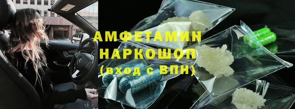 сатива Карпинск